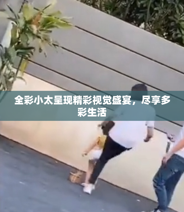 全彩小太呈现精彩视觉盛宴，尽享多彩生活
