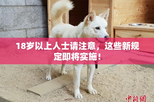 18岁以上人士请注意，这些新规定即将实施！