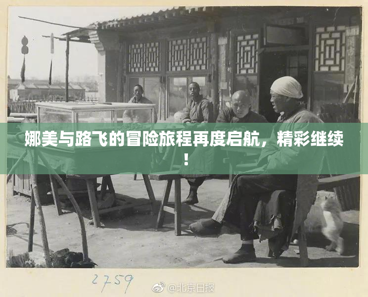 娜美与路飞的冒险旅程再度启航，精彩继续！