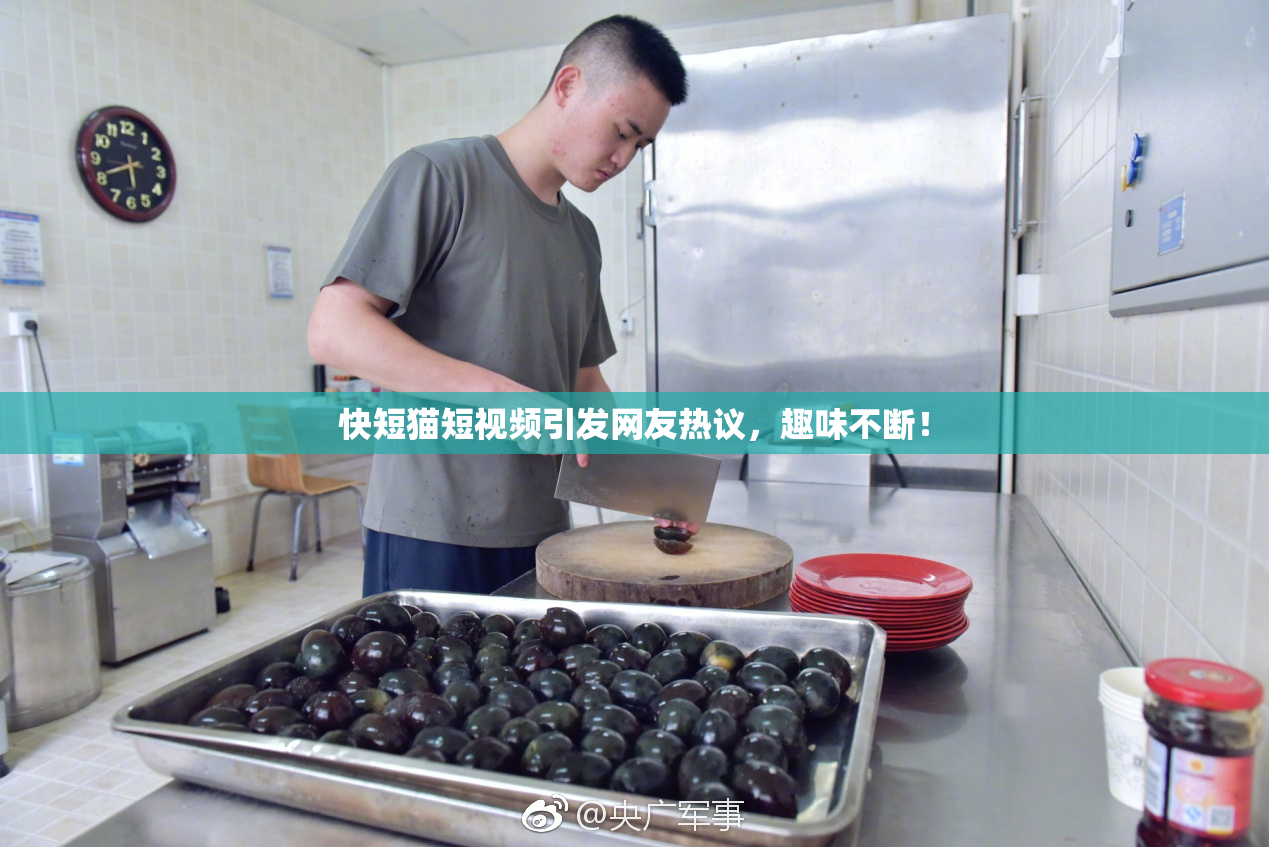 快短猫短视频引发网友热议，趣味不断！