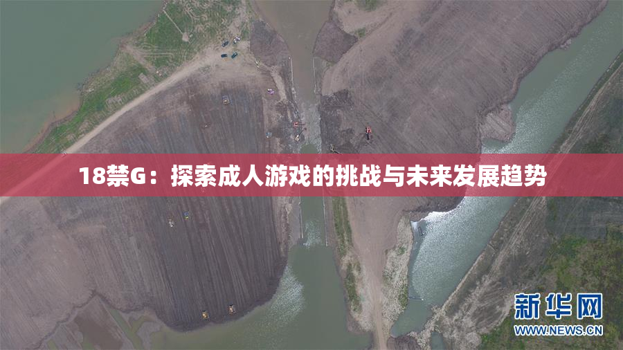 18禁G：探索成人游戏的挑战与未来发展趋势