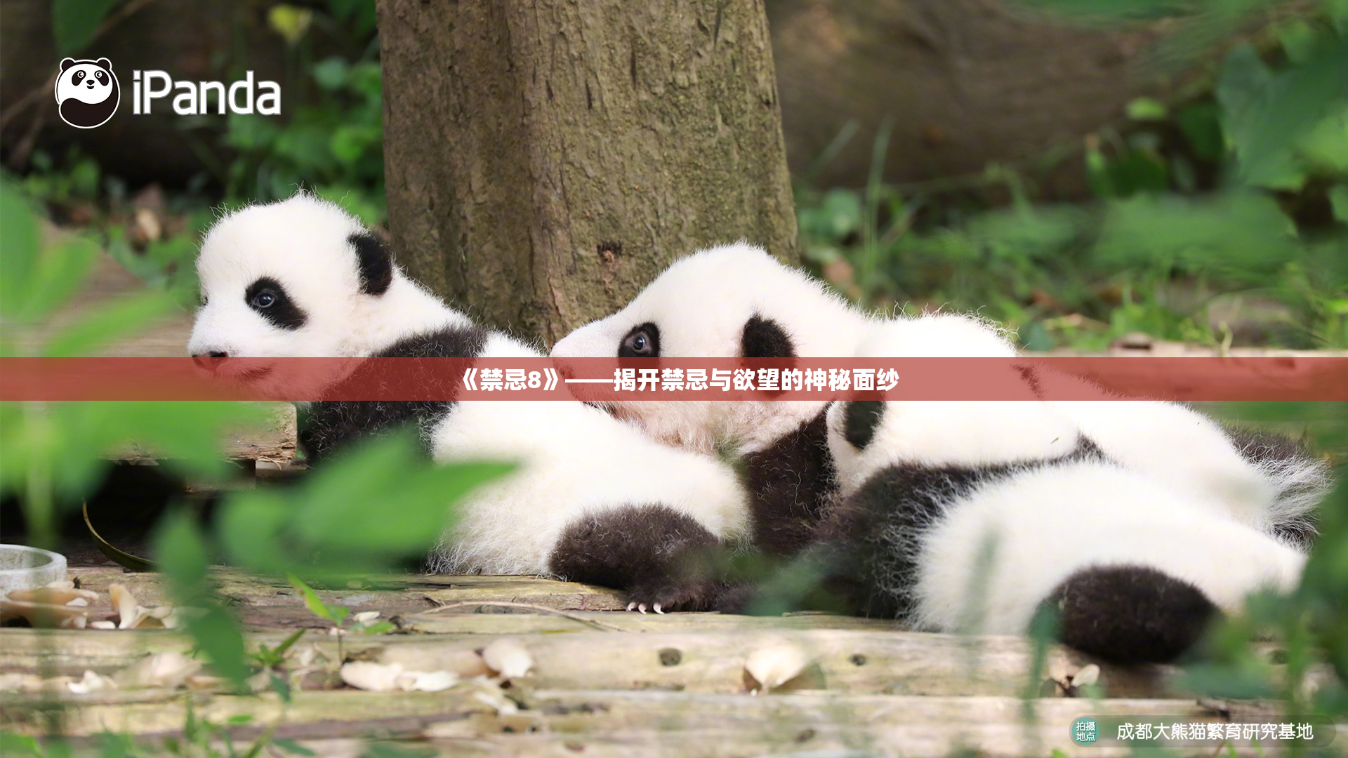 《禁忌8》——揭开禁忌与欲望的神秘面纱