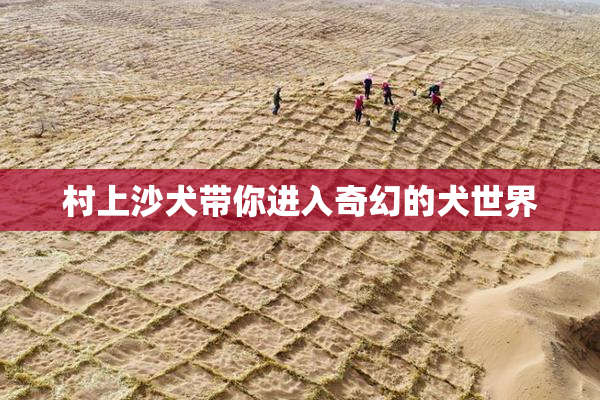 村上沙犬带你进入奇幻的犬世界