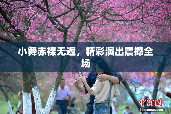 小舞赤裸无遮，精彩演出震撼全场