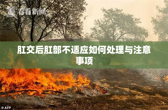 肛交后肛部不适应如何处理与注意事项