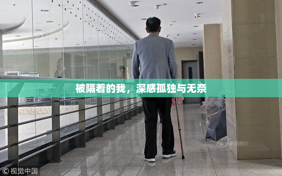 被隔着的我，深感孤独与无奈