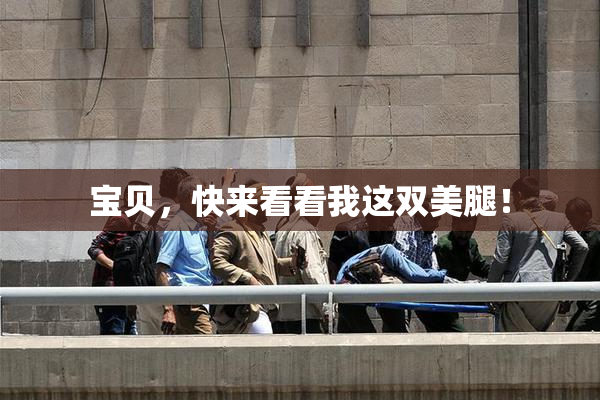 宝贝，快来看看我这双美腿！