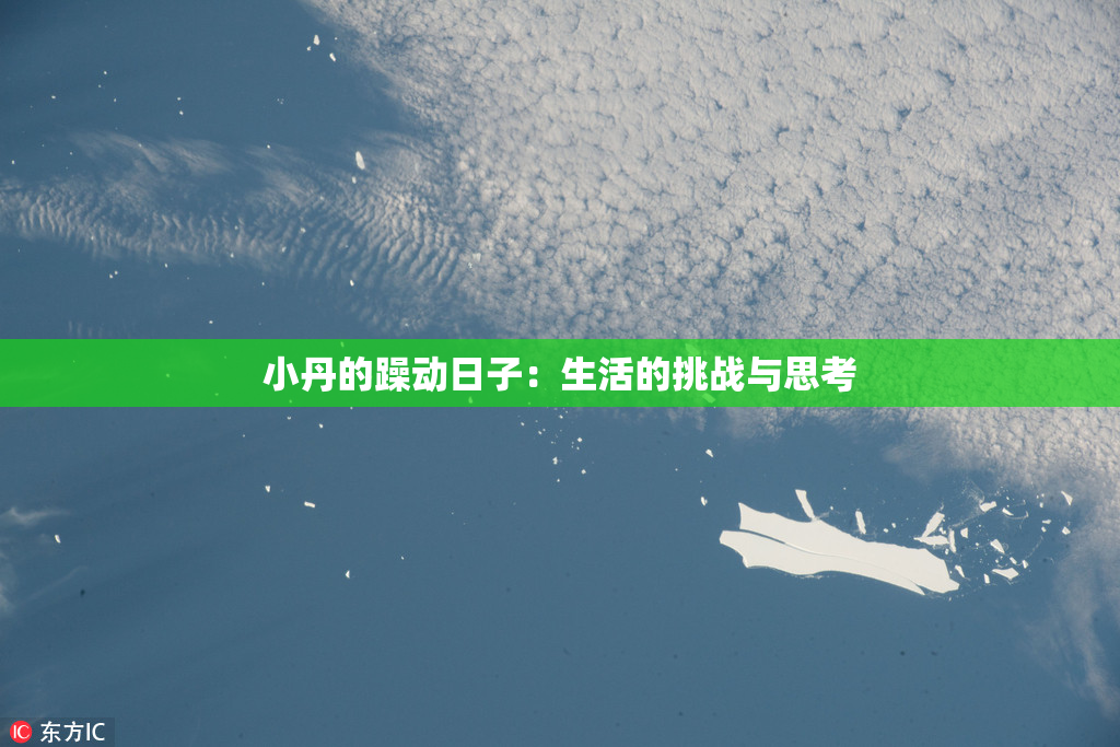 小丹的躁动日子：生活的挑战与思考