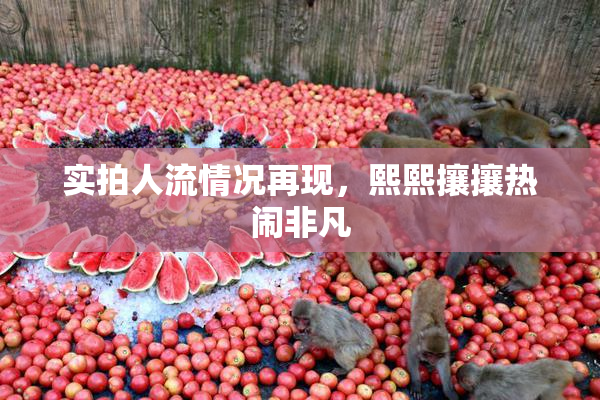 实拍人流情况再现，熙熙攘攘热闹非凡
