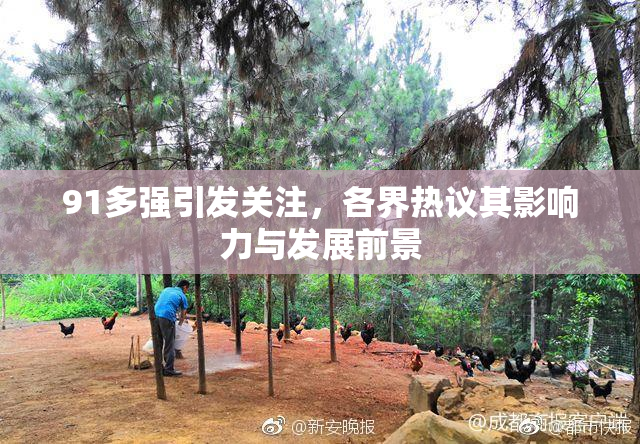 91多强引发关注，各界热议其影响力与发展前景