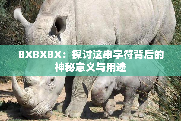 BXBXBX：探讨这串字符背后的神秘意义与用途