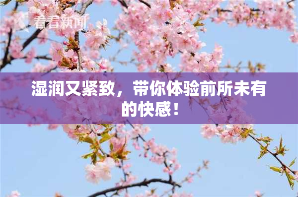湿润又紧致，带你体验前所未有的快感！