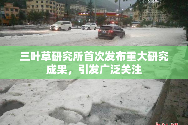 三叶草研究所首次发布重大研究成果，引发广泛关注
