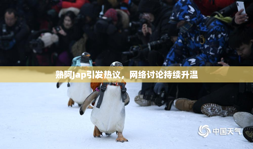 熟阿Jap引发热议，网络讨论持续升温