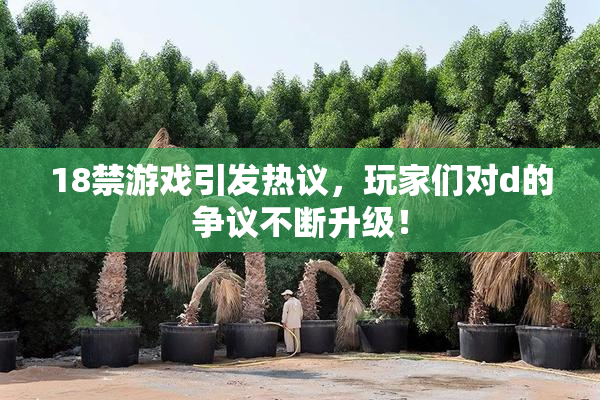 18禁游戏引发热议，玩家们对d的争议不断升级！