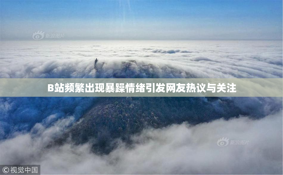 B站频繁出现暴躁情绪引发网友热议与关注