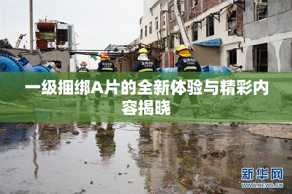 一级捆绑A片的全新体验与精彩内容揭晓