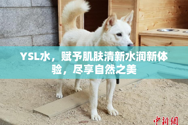 YSL水，赋予肌肤清新水润新体验，尽享自然之美