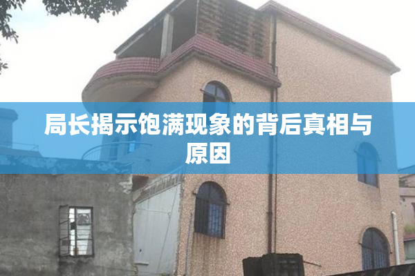 局长揭示饱满现象的背后真相与原因