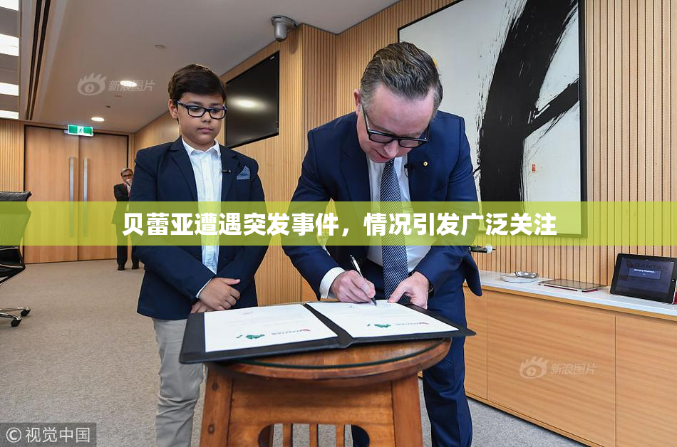 贝蕾亚遭遇突发事件，情况引发广泛关注