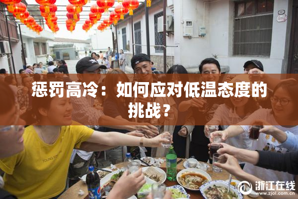 惩罚高冷：如何应对低温态度的挑战？