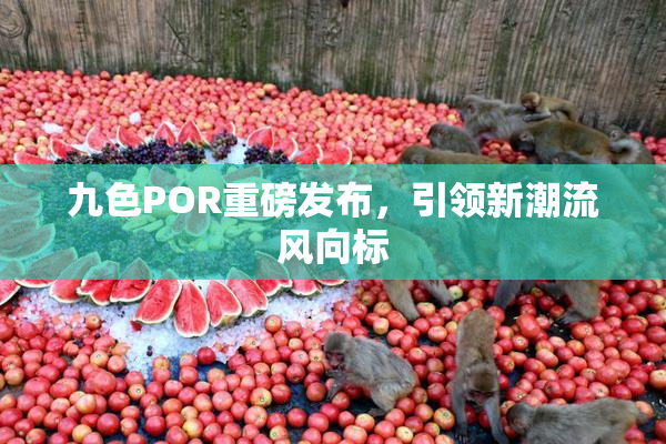 九色POR重磅发布，引领新潮流风向标