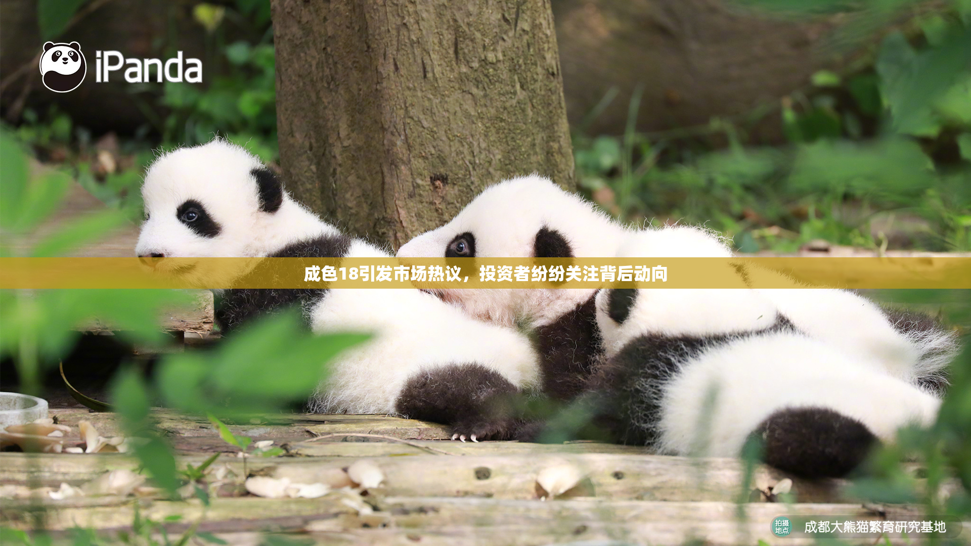 成色18引发市场热议，投资者纷纷关注背后动向