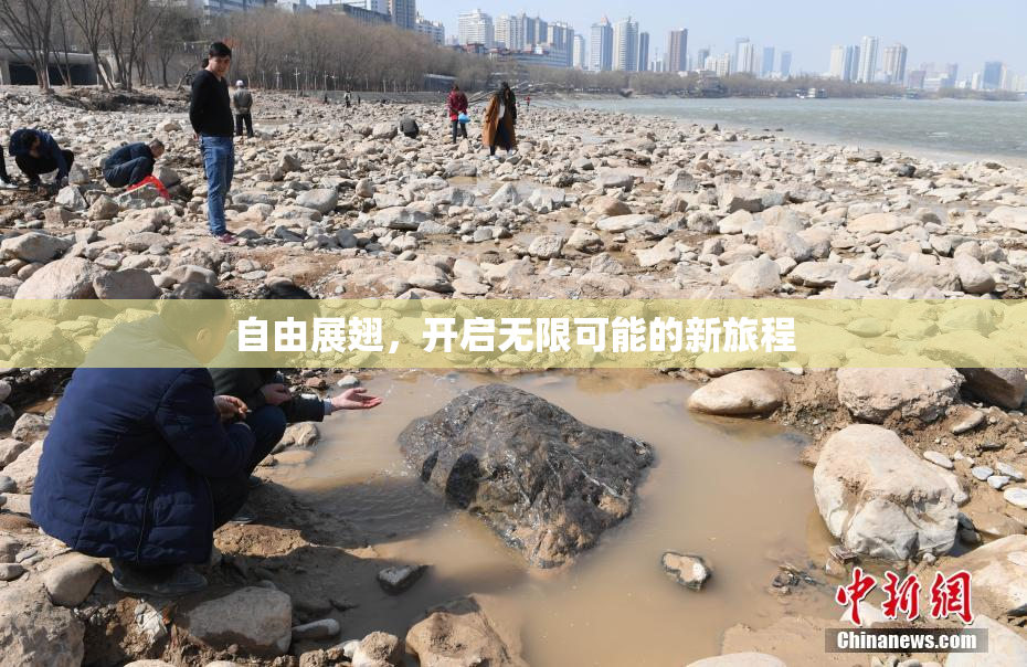 自由展翅，开启无限可能的新旅程