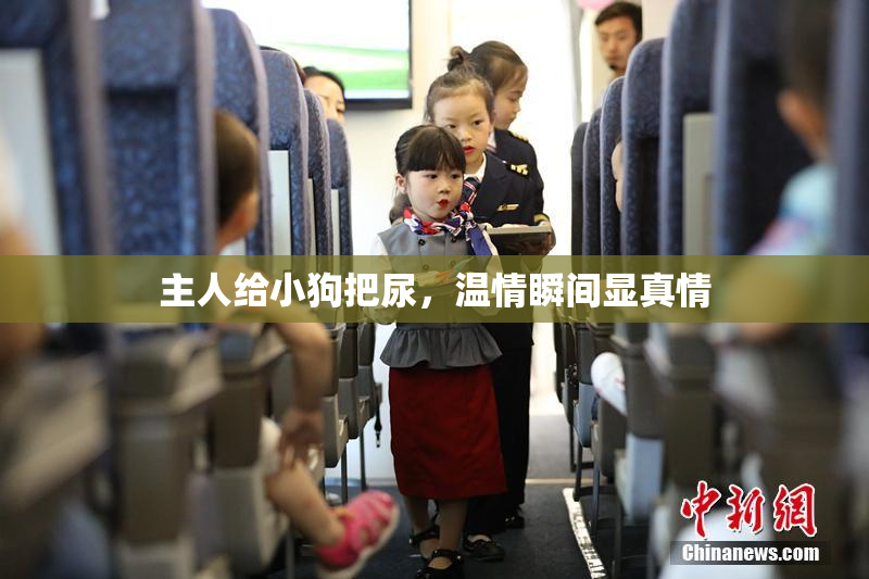 主人给小狗把尿，温情瞬间显真情