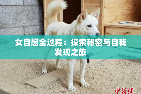女自慰全过程：探索秘密与自我发现之旅