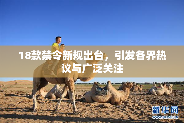 18款禁令新规出台，引发各界热议与广泛关注