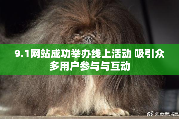 9.1网站成功举办线上活动 吸引众多用户参与与互动