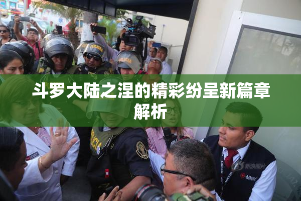 斗罗大陆之涅的精彩纷呈新篇章解析