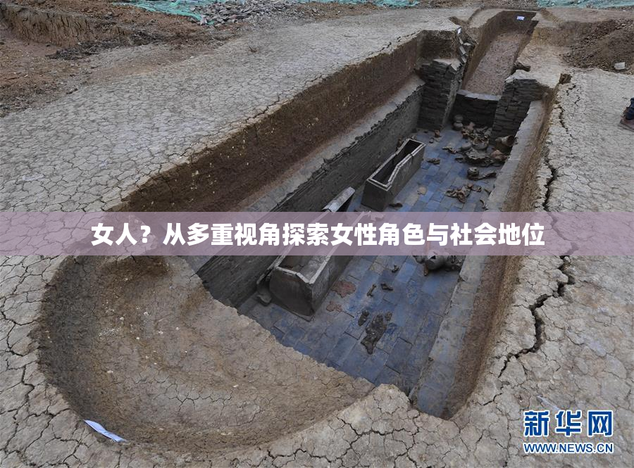 女人？从多重视角探索女性角色与社会地位
