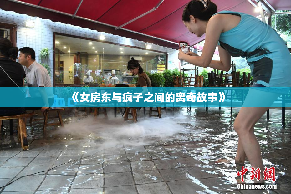 《女房东与疯子之间的离奇故事》