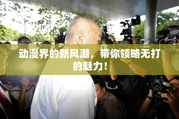 动漫界的新风潮，带你领略无打的魅力！