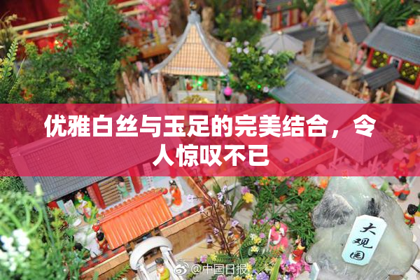 优雅白丝与玉足的完美结合，令人惊叹不已