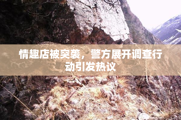 情趣店被突袭，警方展开调查行动引发热议