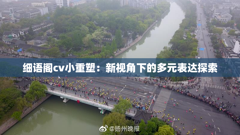细语阁cv小重塑：新视角下的多元表达探索
