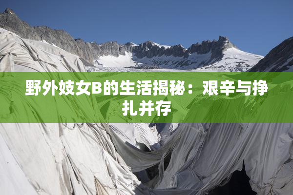 野外妓女B的生活揭秘：艰辛与挣扎并存