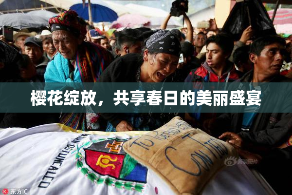 樱花绽放，共享春日的美丽盛宴