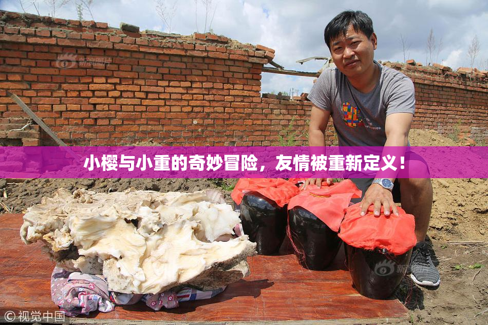 小樱与小重的奇妙冒险，友情被重新定义！