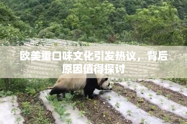 欧美重口味文化引发热议，背后原因值得探讨