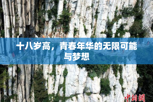 十八岁高，青春年华的无限可能与梦想