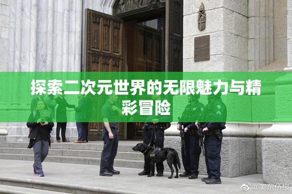 探索二次元世界的无限魅力与精彩冒险
