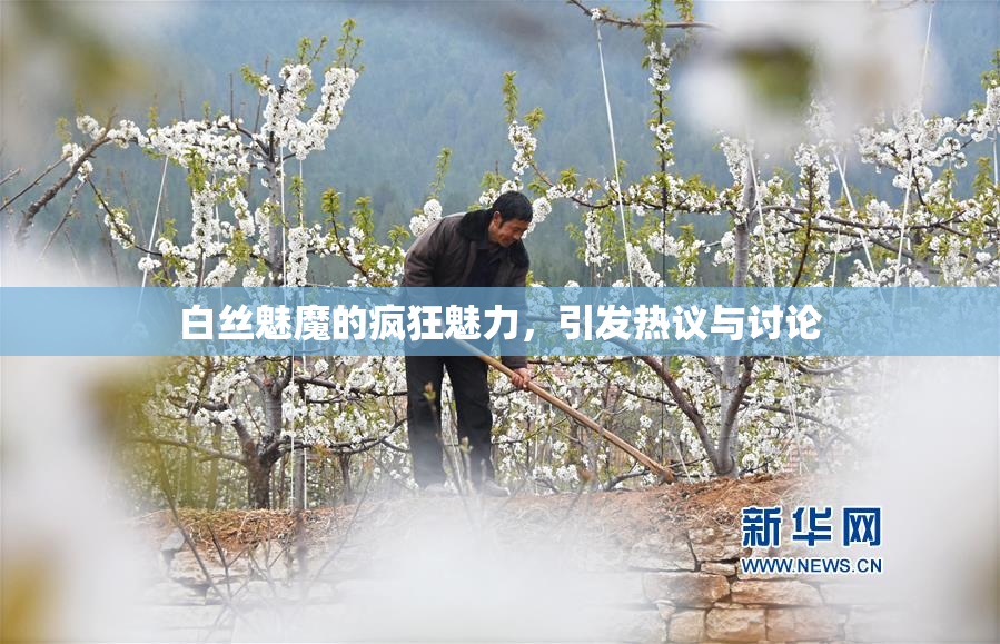白丝魅魔的疯狂魅力，引发热议与讨论