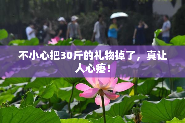 不小心把30斤的礼物掉了，真让人心疼！