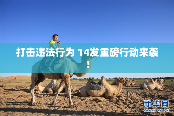 打击违法行为 14发重磅行动来袭！