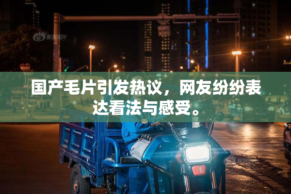 国产毛片引发热议，网友纷纷表达看法与感受。