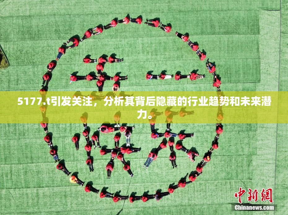 5177.t引发关注，分析其背后隐藏的行业趋势和未来潜力。